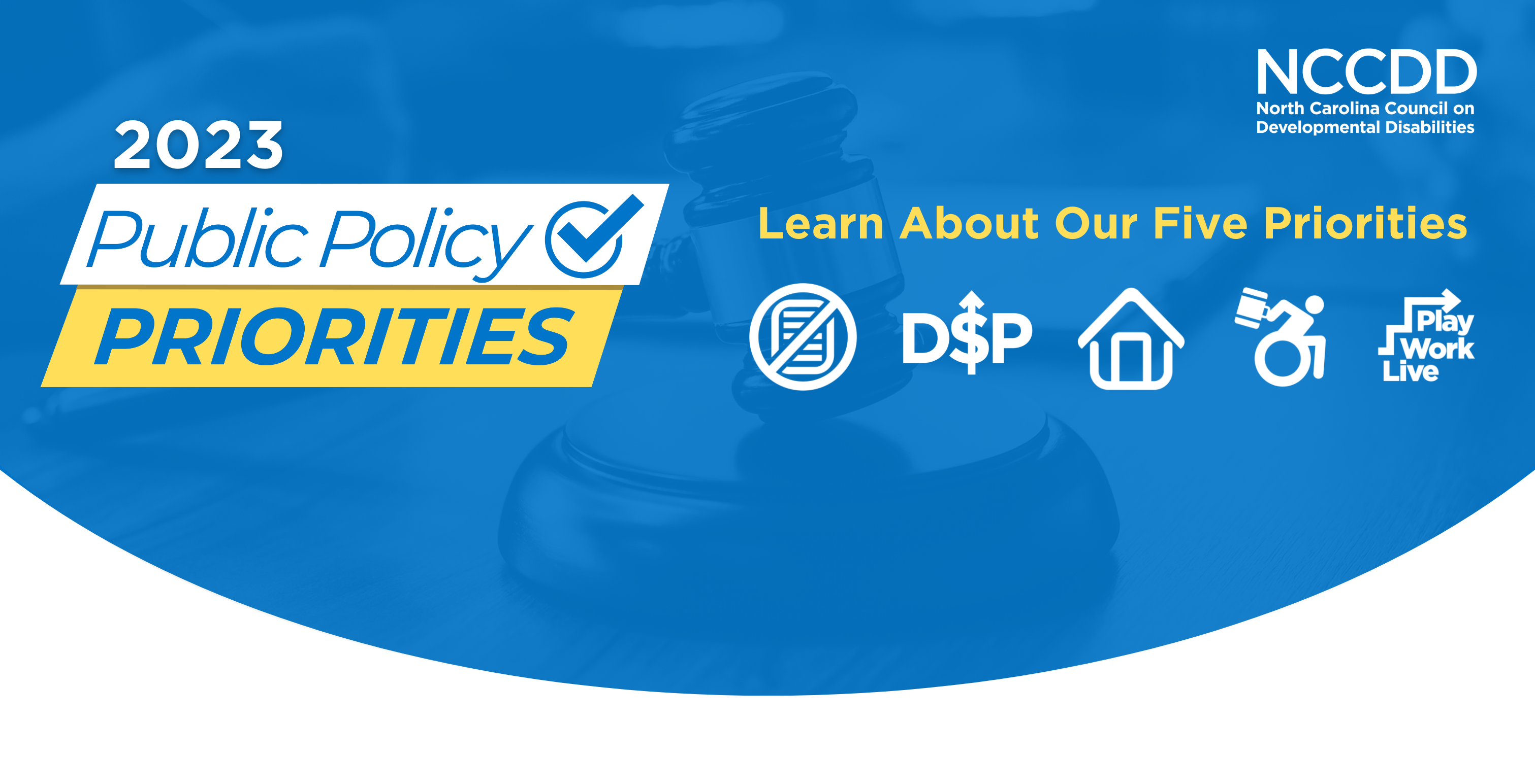Learn About Our Five Public Policy Priorities!