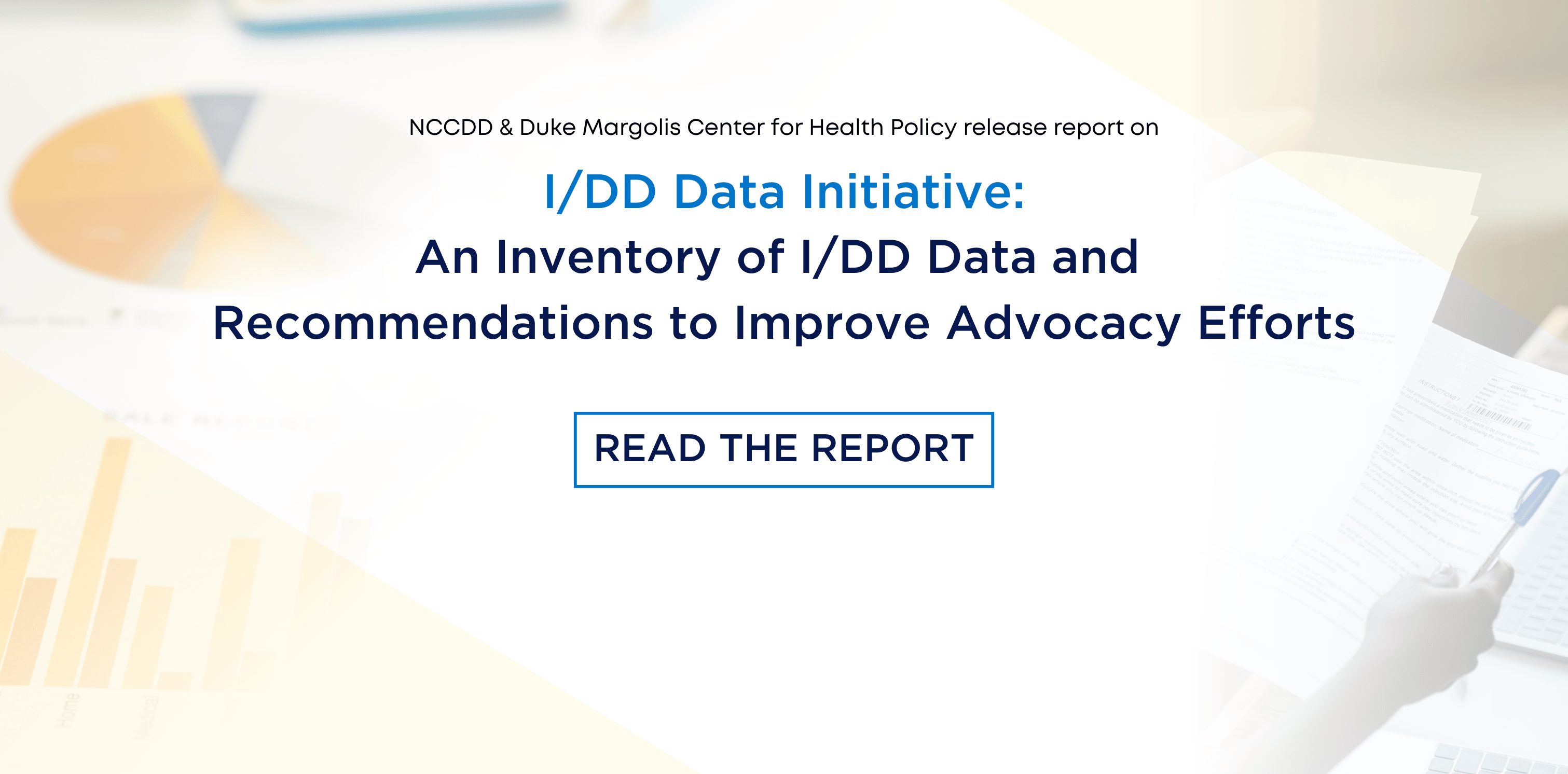 I/DD Data Initiative banner graphic