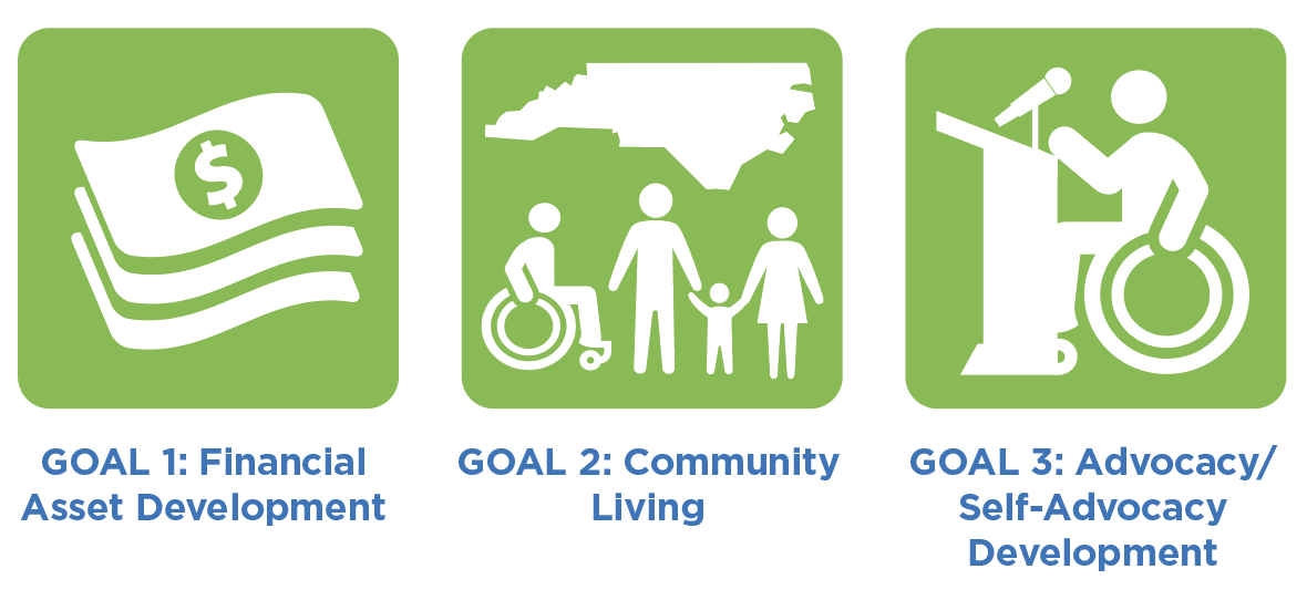 NCCDD Five Year Plan Goals Icons