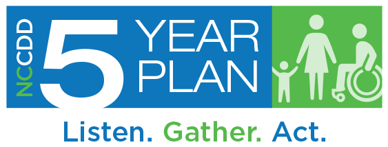 5 year plan logo2