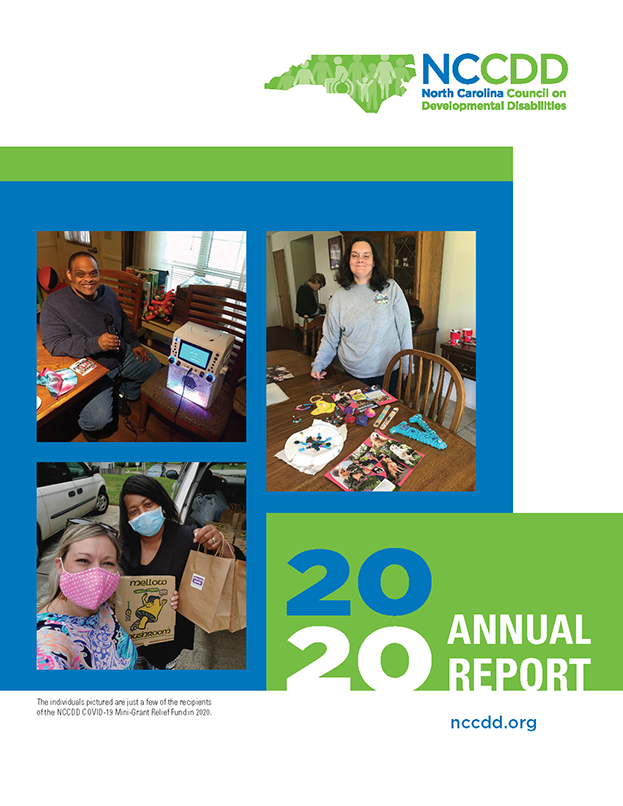 NCCDD Annual Report 2020 English cover